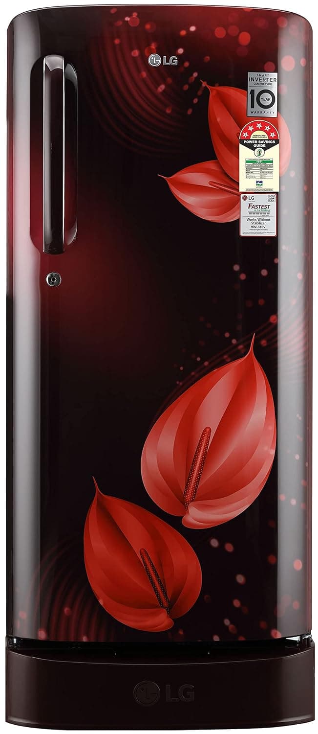 LG REFRIGERATOR 3 STAR GL-B221ASVD — SCARLET VICTORIA