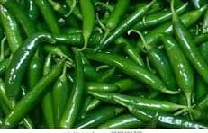 FRESH CHILI