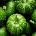 FRESH GREEN PUMPKIN