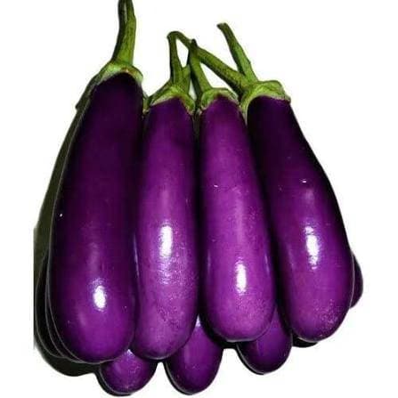 BRINJAL LONG SEEDS